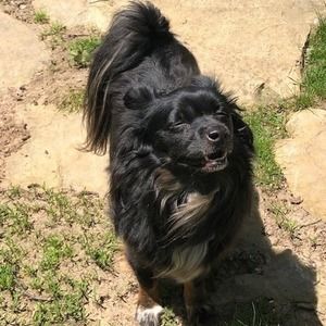 Meet your Posher, Caroline